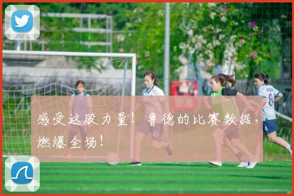感受这股力量!鲁德的比赛数据,燃爆全场!