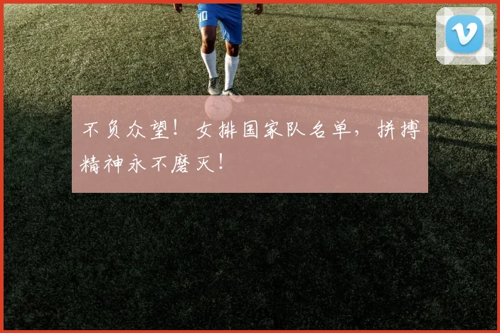 不负众望!女排国家队名单,拼搏精神永不磨灭!
